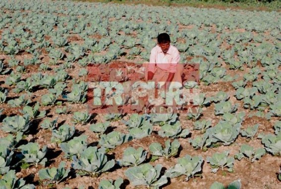 Demands for fresh vegetables increasing in Tripura, price hike reported